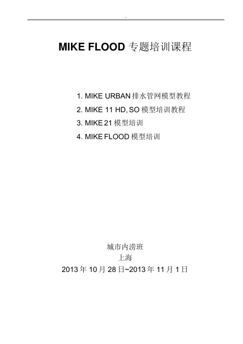 MikeFlood城市内涝水体模拟模型专题教程