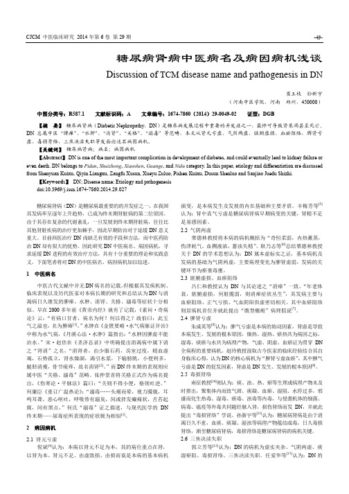 糖尿病肾病中医病名及病因病机浅谈