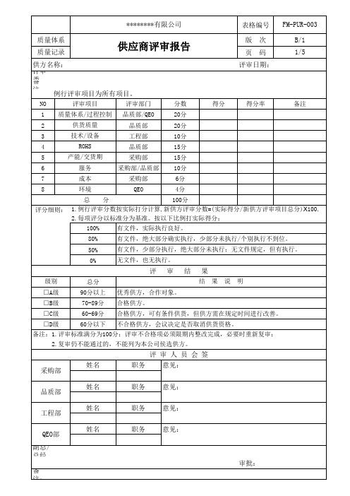 供应商评审报告