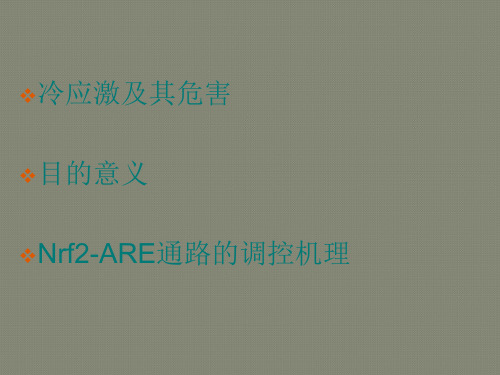 Nrf2传导通路