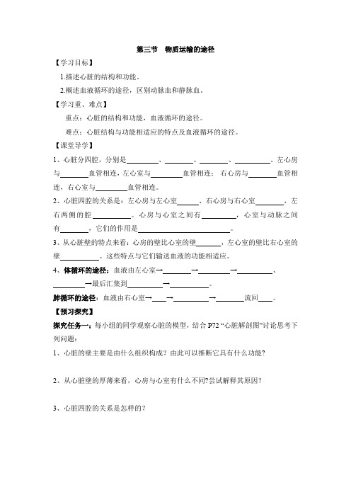 生物鲁科版七年级上册 《物质运输的途径》导学案
