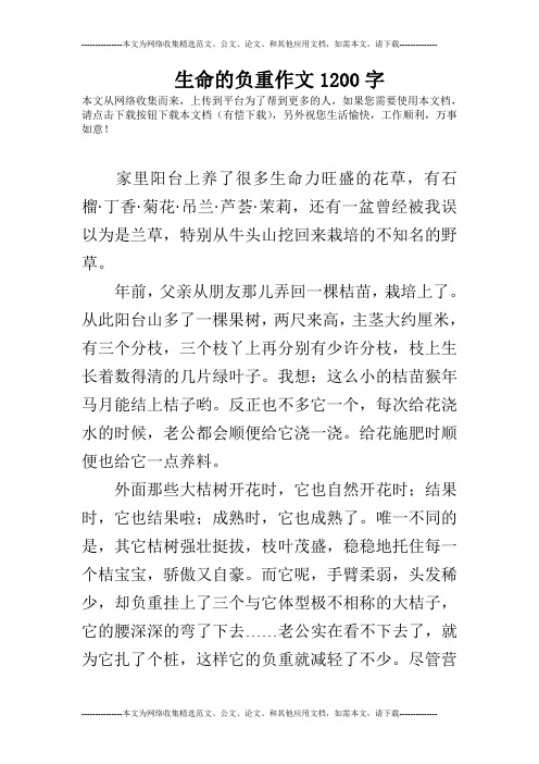 生命的负重作文1200字