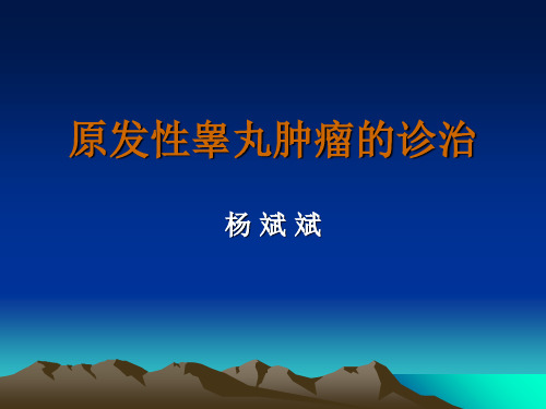 原发性睾丸肿瘤的诊治-PPT文档资料