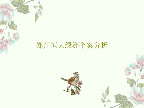 郑州恒大绿洲个案分析36页PPT