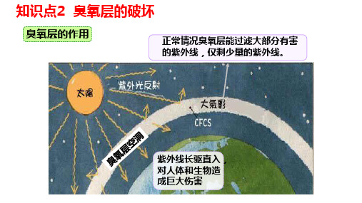 臭氧层的破坏和大气污染与酸雨