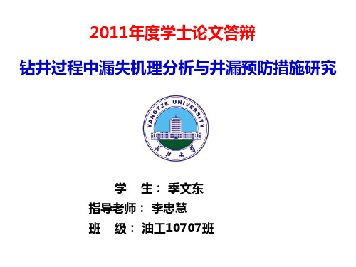 井漏机理及影响因素研究 毕业设计PPT