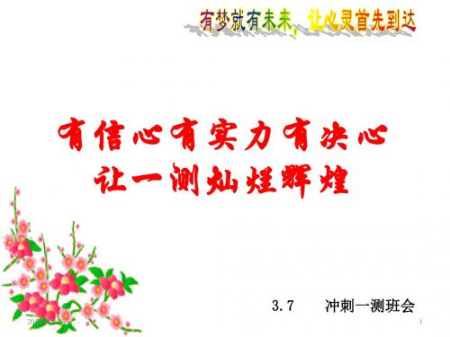 (精品班队会)高考复习班会：有信心有实力有决心-让一测灿烂辉煌ppt