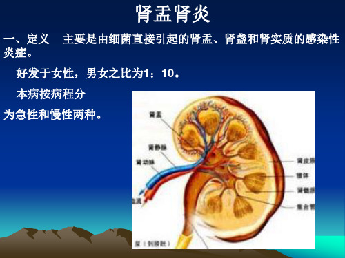 肾盂肾炎ppt