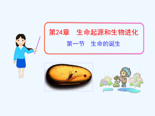 《生命的诞生》课件