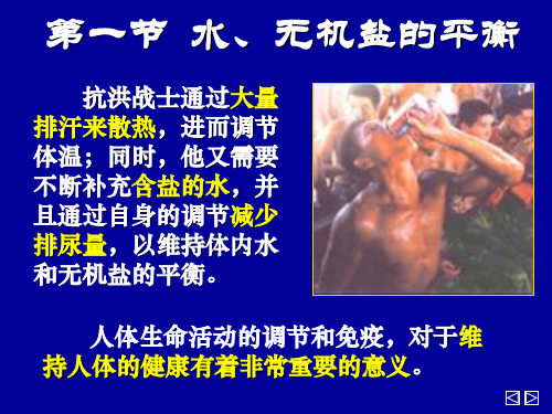 2.1人体的稳态—水和无机盐平衡调节 苏教版必修三