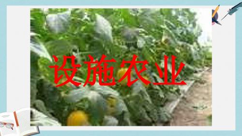 高中生物第2章生物科学与农业2.6设施农业课件新人教版选修2