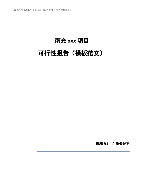 南充项目可行性报告(模板范文)