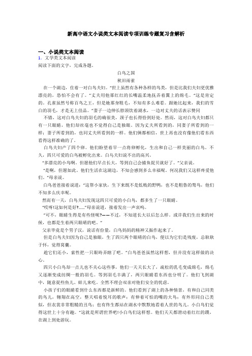 新高中语文小说类文本阅读专项训练专题复习含解析