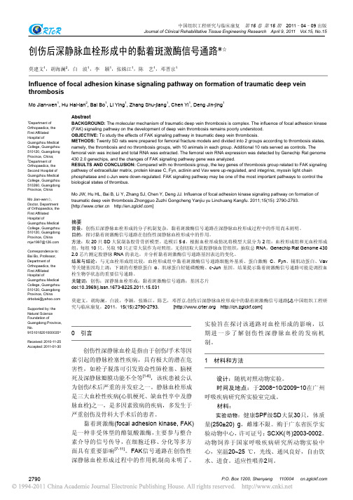 创伤后深静脉血栓形成中的黏着斑激酶信号通路