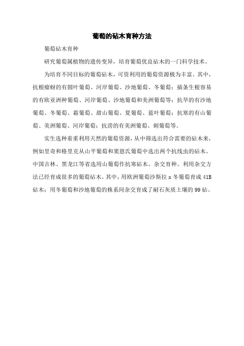 葡萄的砧木育种方法