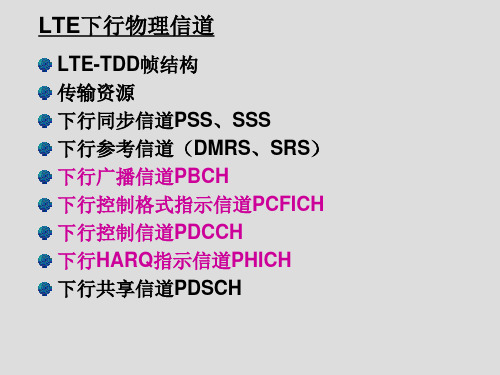 TD-LTE_下行物理信道