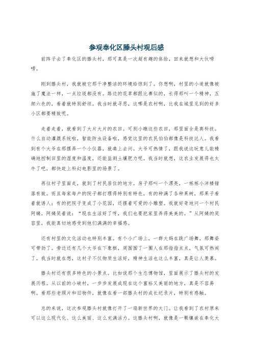 参观奉化区滕头村观后感