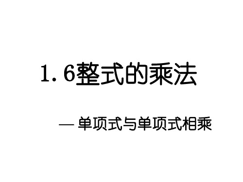 整式的乘法[下学期]--北师大版-