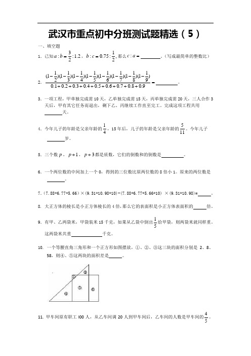 武汉市重点初中分班测试题精选(5)