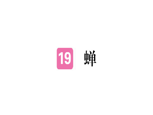 秋人教版八年级语文上册(江西专版)习题讲评课件：19 蝉(共23张PPT)