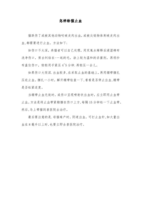 怎样给猫止血