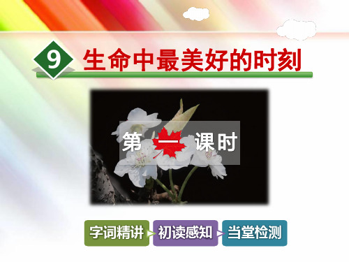 冀教版五年级语文上册《9.生命中最美好的时刻【第1课时】》课件