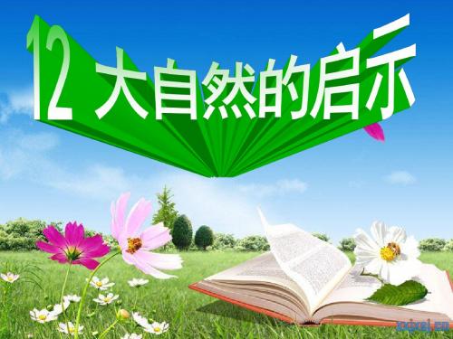 四年级下册语文课件大自然的启示人教新课标 (共29张PPT)