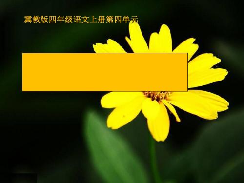 《形形色色的植物》PPT课件