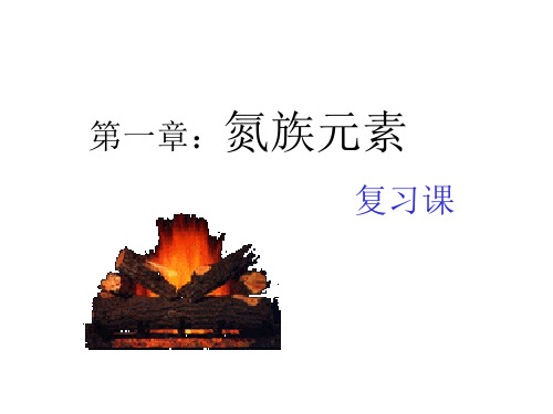 氮族元素复习课ppt全面版