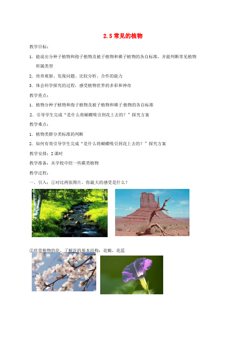 七年级科学上册 2.5 常见的植物教案2 (新版)浙教版