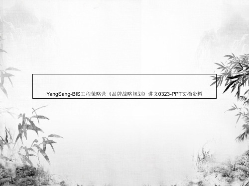 YangSang-BIS工程策略营《品牌战略规划》讲义0323-PPT文档资料