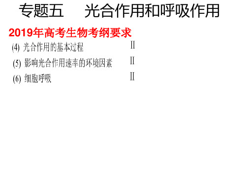 2019高考生物二轮专题复习 光合作用和呼吸作用(共20张PPT)