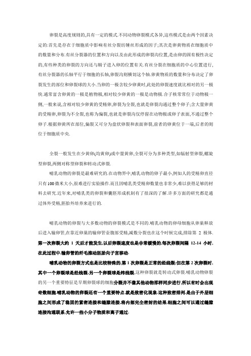 卵裂