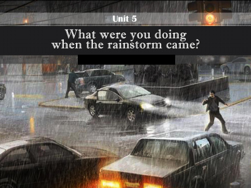 Unit 5 what were you doing when the rainstorm came(3a~3c)公开课课件