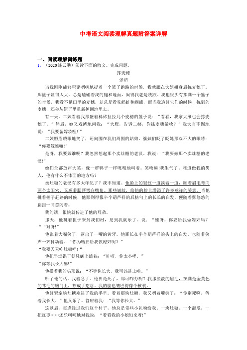 江苏版-江苏中考现代文阅读真题练习题含答案共20篇汇总