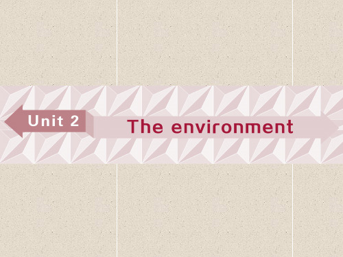 高考英语课件必修5 unit 2 the environment 