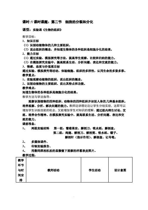 济南版初中生物七年级上册《细胞的分裂和分化》教学设计