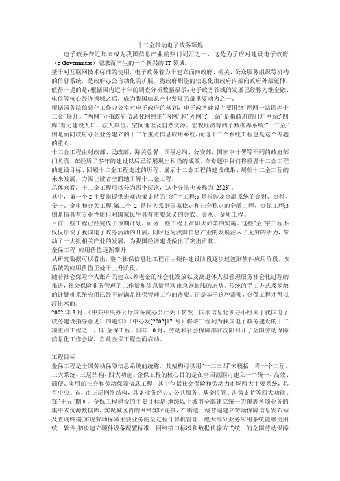 十二金推动电子政务辉煌