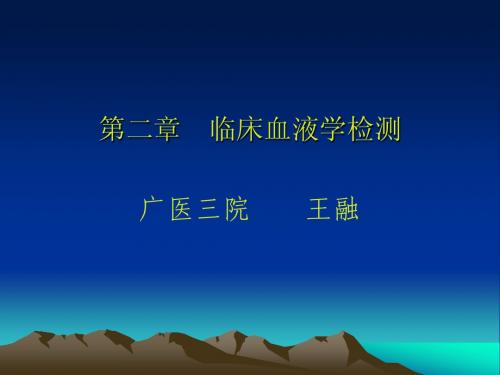 血液的一般检查10