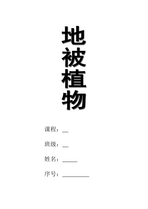 地被植物