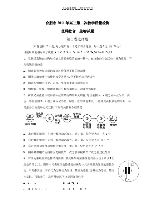 2011年高三第二次教学质量检测