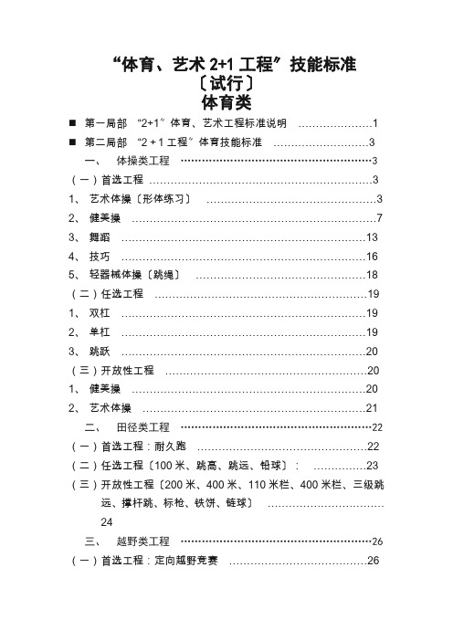 体育艺术21考核标准(体育类)