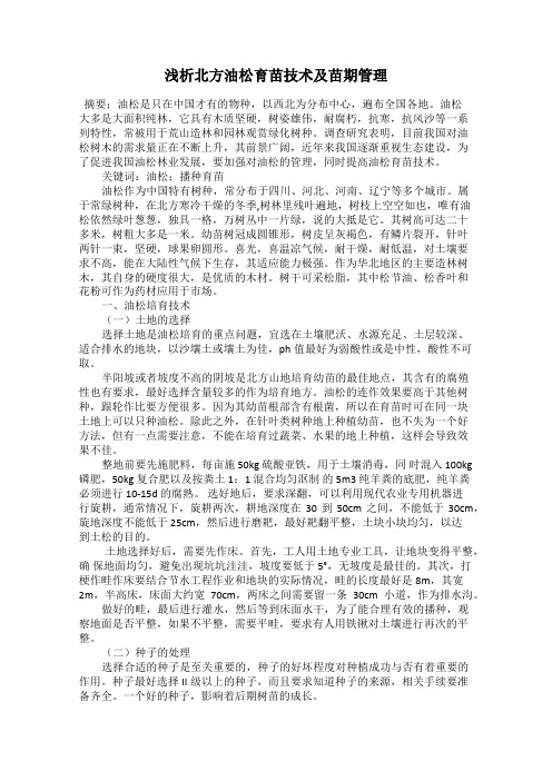 浅析北方油松育苗技术及苗期管理