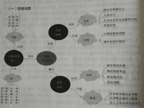 人教版道德与法治八年级下册第二单元理解权利义务复习课件