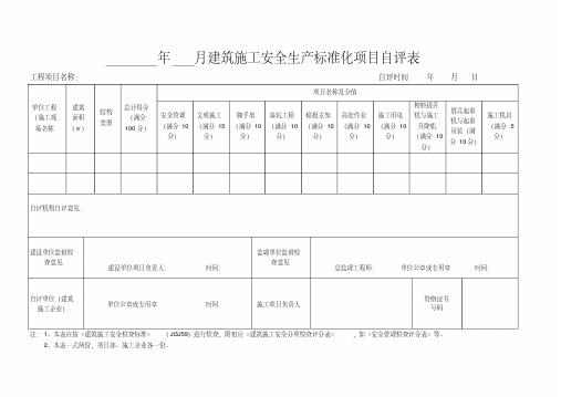 项目月度自评表总表+19项分表