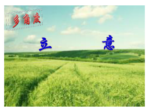多角度立意分析