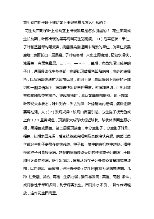 花生幼苗期子叶上或幼茎上出现黑霉是怎么引起的