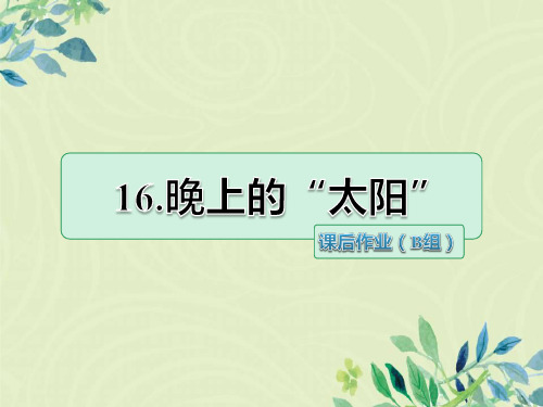 二年级语文下册第6单元第16课《晚上的太阳》课后作业(B组-提升篇)