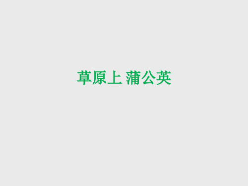 苏少版小学二年级音乐上册(简谱)草原上 蒲公英_课件1