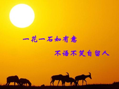 西地平线上